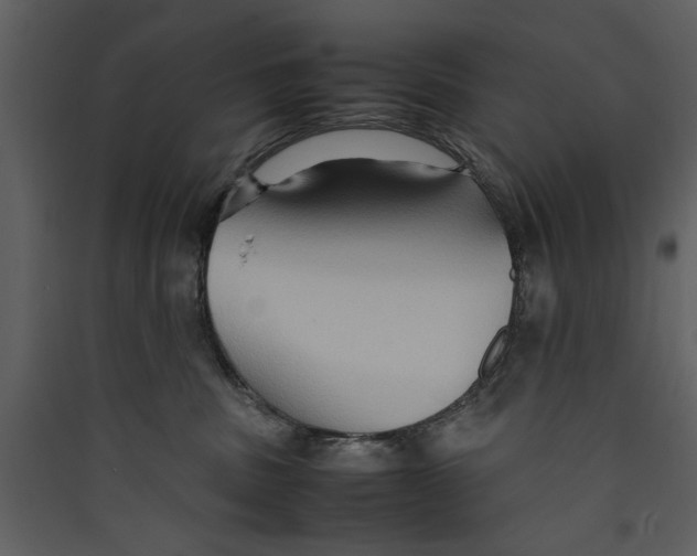 X0000089370379200707131642