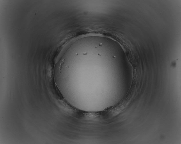 X0000089370380200707131642