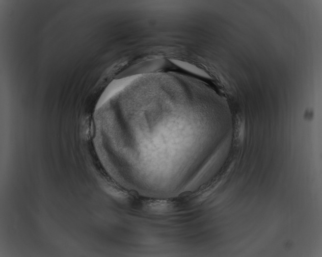 X0000089370383200707131642