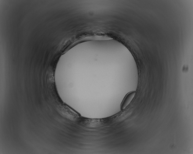 X0000089370384200707131642