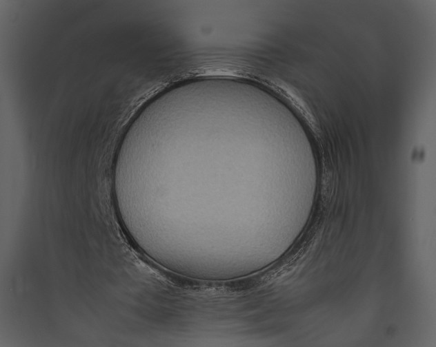 X0000089370385200707131641