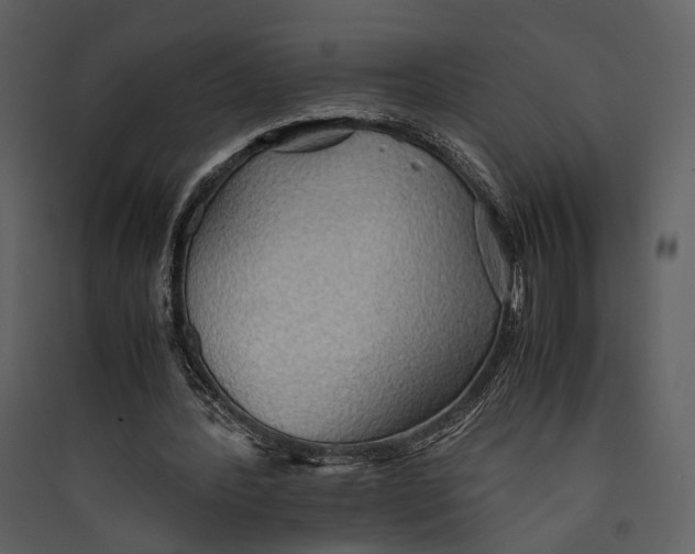 X0000089370388200707131641