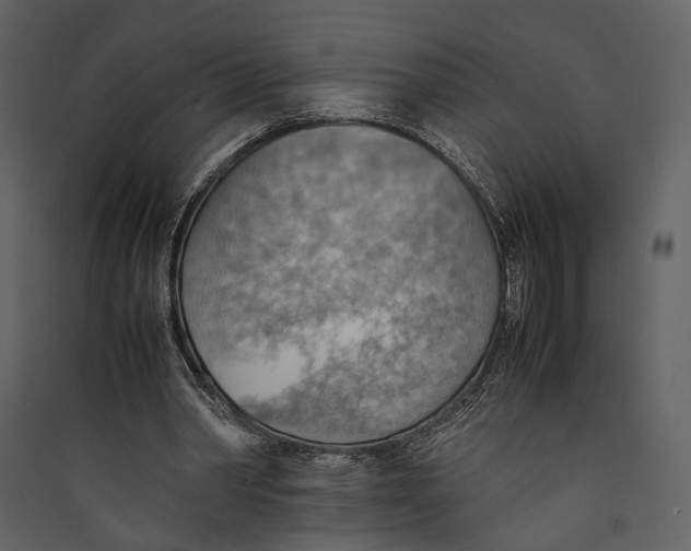 X0000089370390200707131641