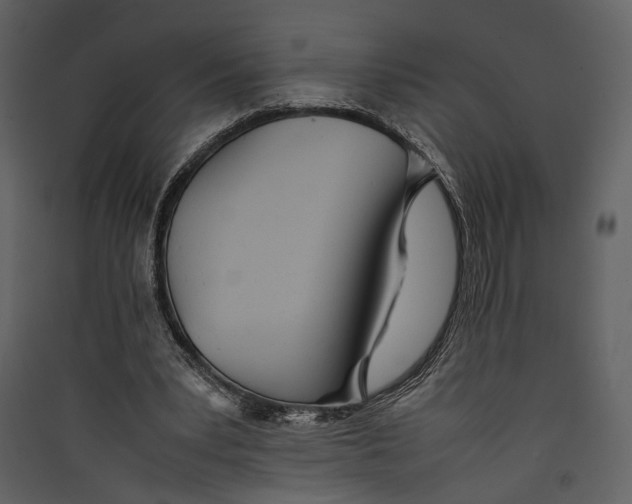 X0000089370391200707131641