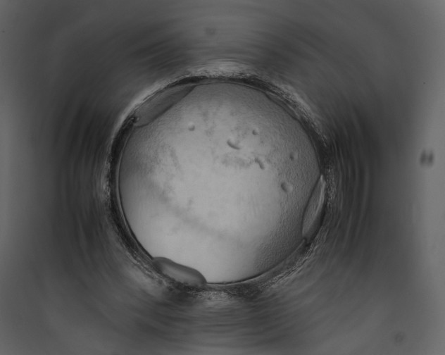 X0000089370392200707131641