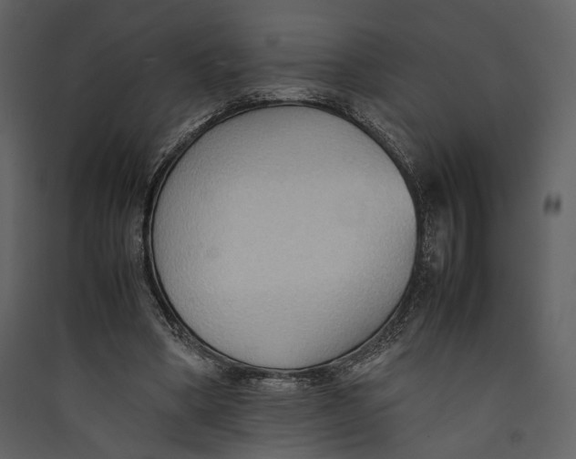 X0000089370394200707131641