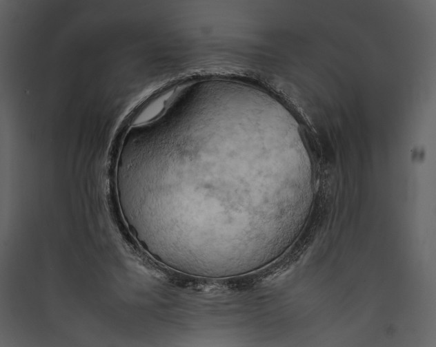 X0000089370395200707131641