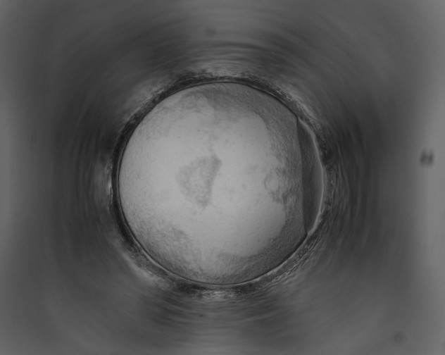 X0000089370398200707131641