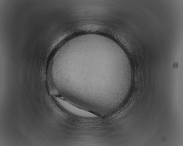 X0000089370399200707131641