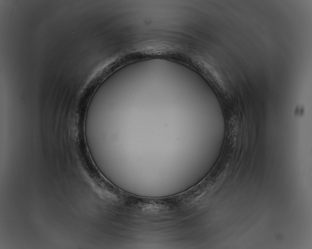 X0000089370400200707131641