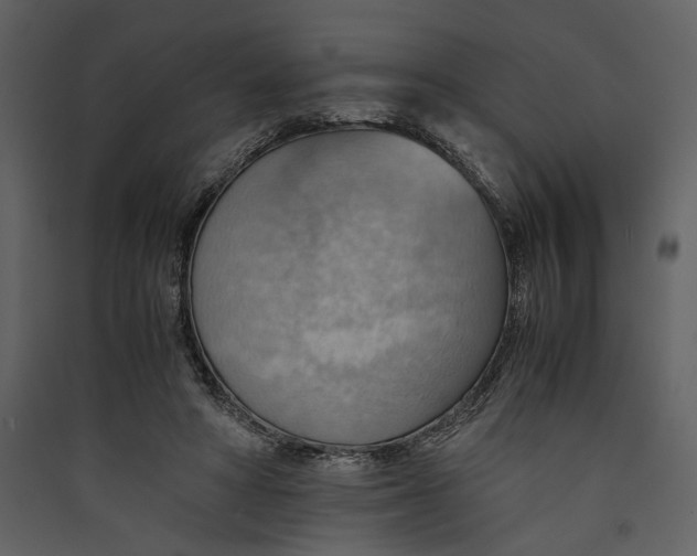 X0000089370402200707131641