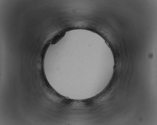 X0000089370403200707131641