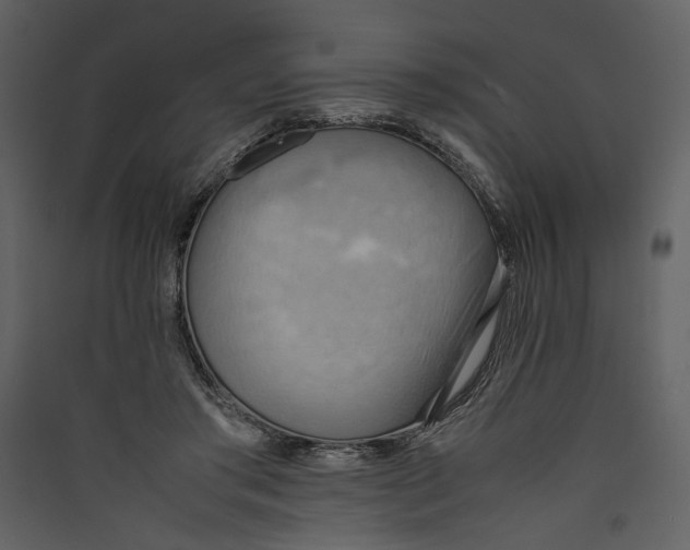 X0000089370405200707131641