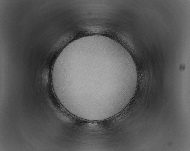 X0000089370406200707131641