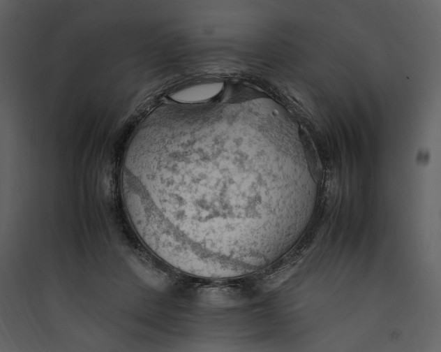 X0000089370408200707131641