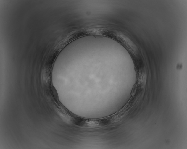 X0000089370409200707131641