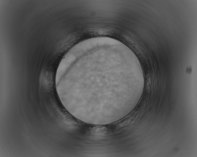 X0000089370410200707131641