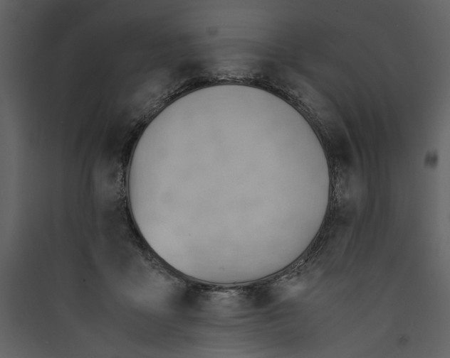 X0000089370411200707131641