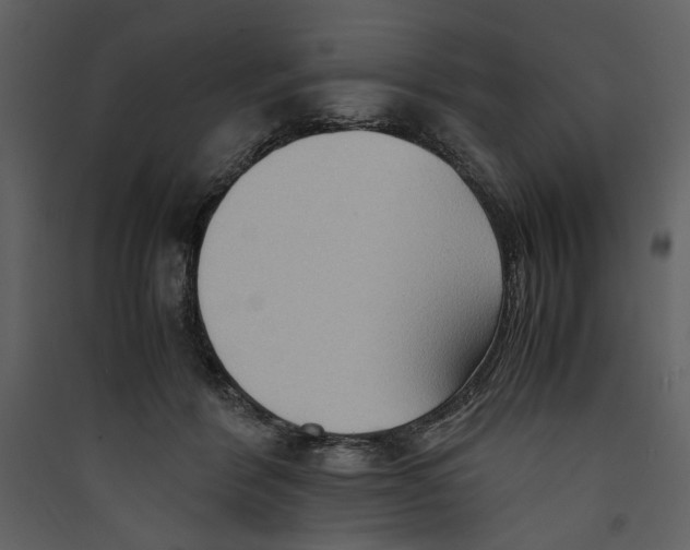 X0000089370412200707131641