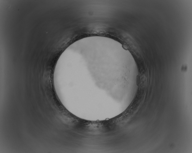 X0000089370415200707131641