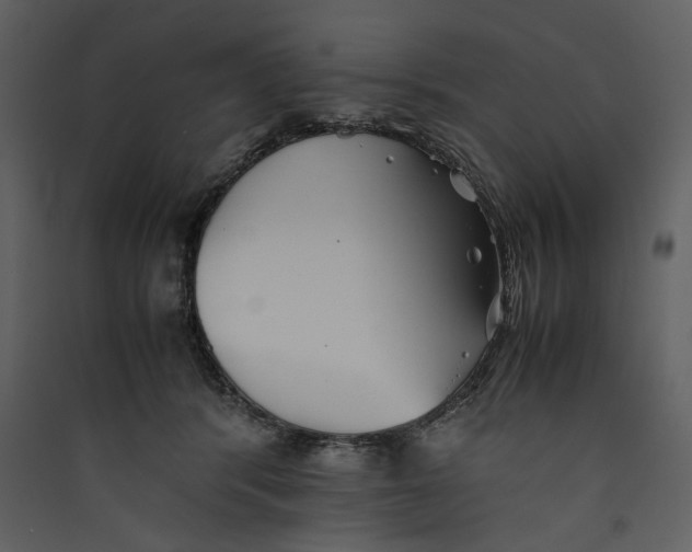 X0000089370416200707131641