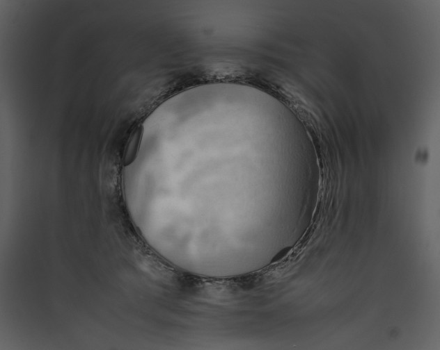 X0000089370417200707131641