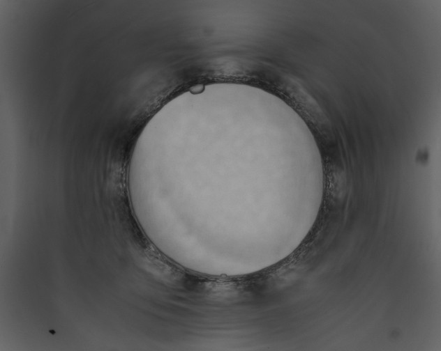 X0000089370419200707131641