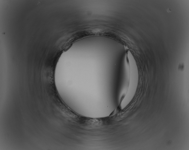 X0000089370421200707131641