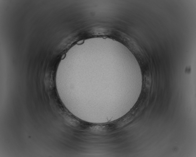 X0000089370422200707131641