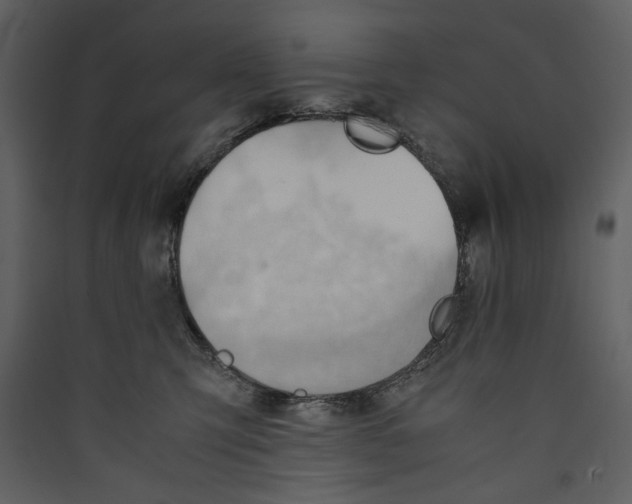 X0000089370423200707131641