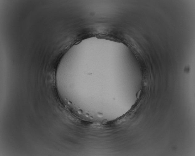 X0000089370425200707131641