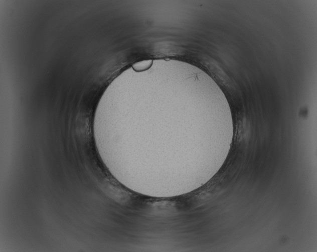 X0000089370426200707131641