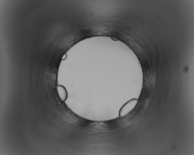 X0000089370427200707131641