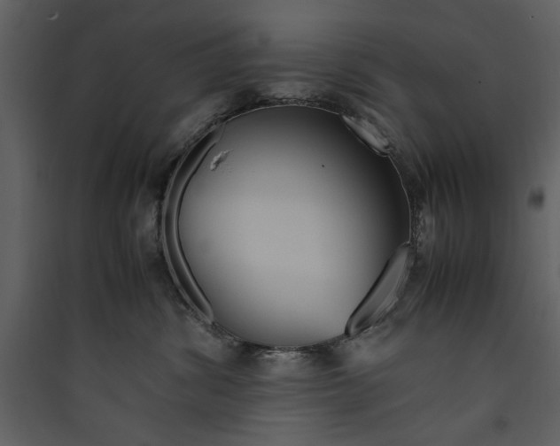 X0000089370428200707131641