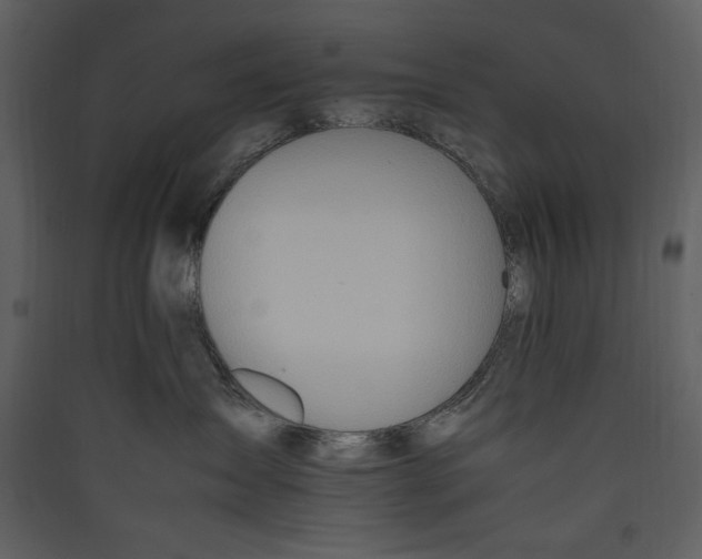 X0000089370431200707131641