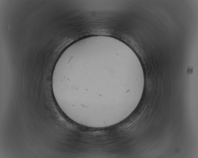 X0000089370433200707131640