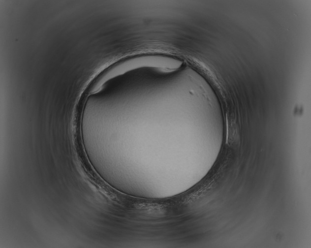 X0000089370435200707131640