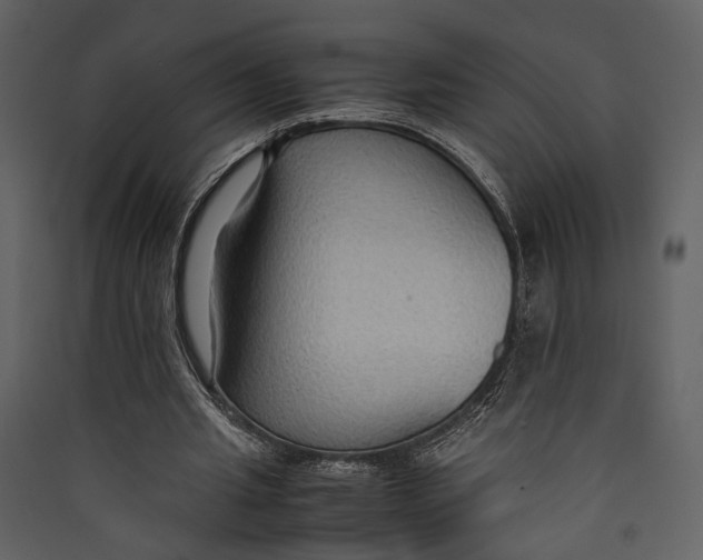 X0000089370437200707131640