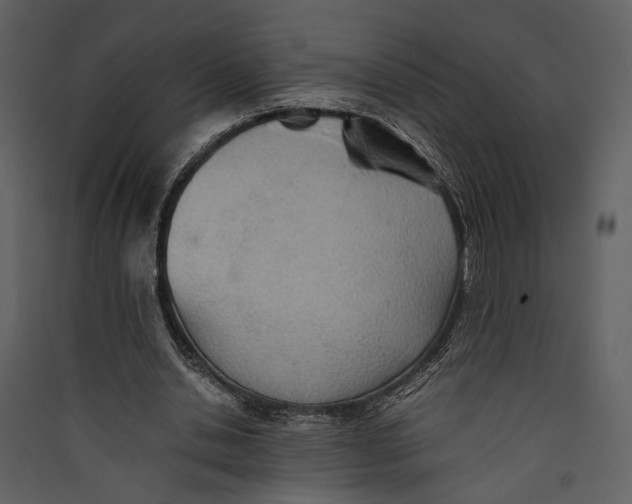 X0000089370438200707131640