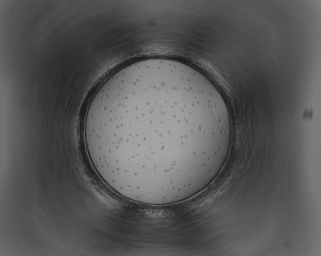 X0000089370439200707131640