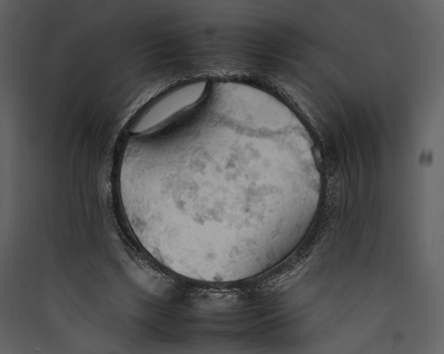 X0000089370443200707131640