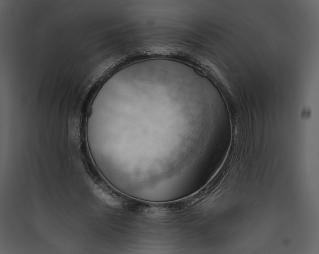 X0000089370444200707131640