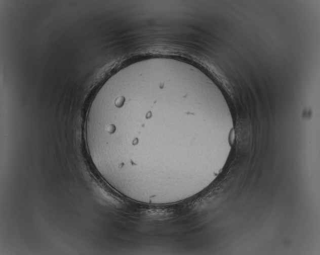 X0000089370445200707131640
