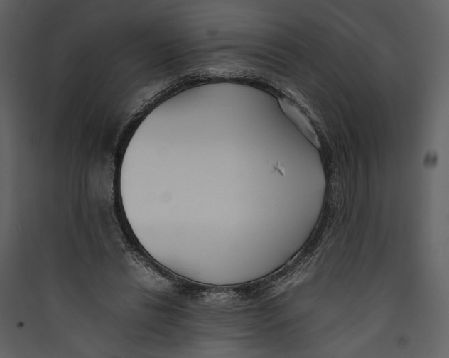 X0000089370446200707131640