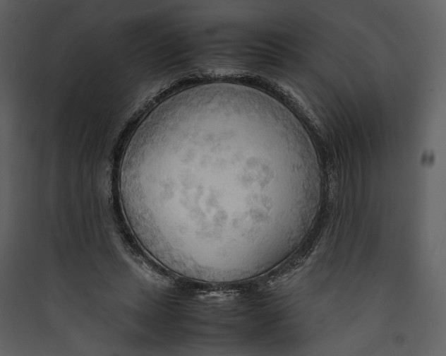 X0000089370447200707131640