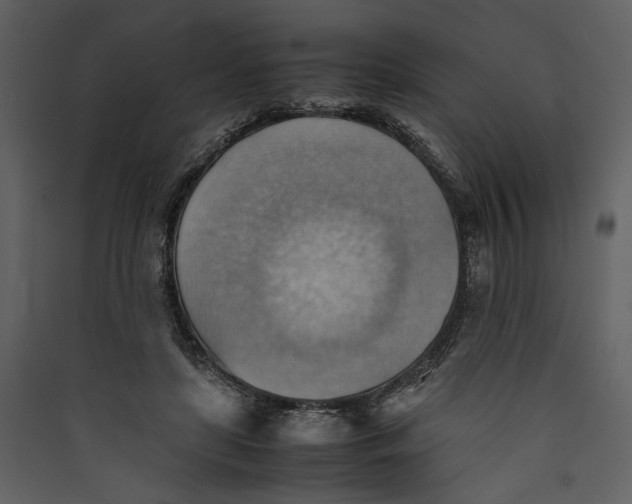 X0000089370451200707131640