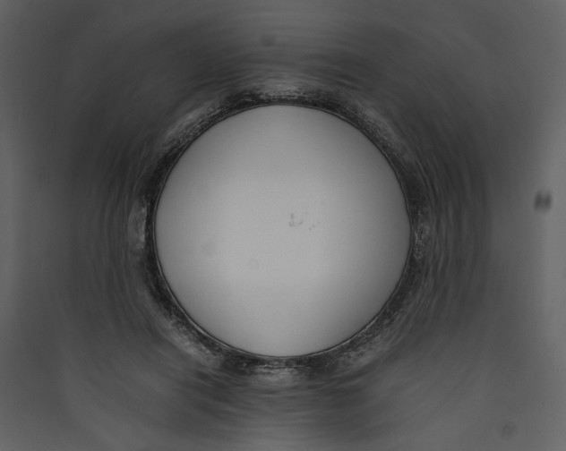 X0000089370454200707131640