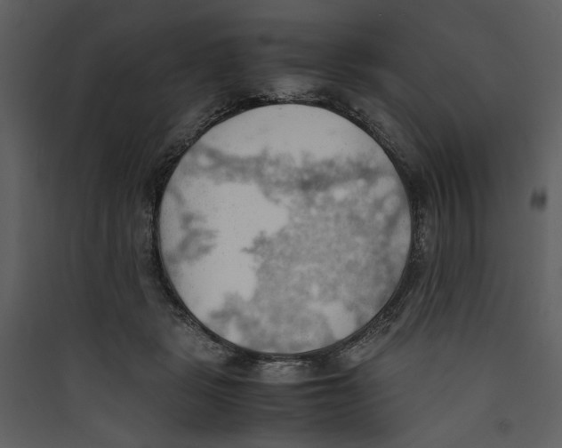 X0000089370461200707131640