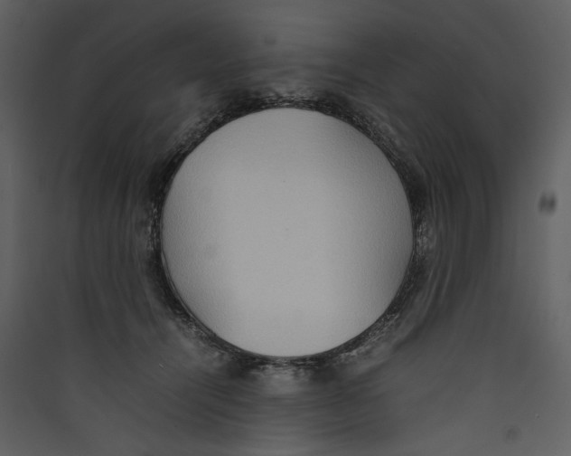 X0000089370464200707131640