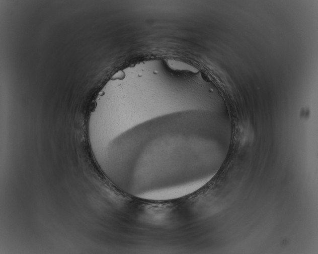 X0000089370465200707131640